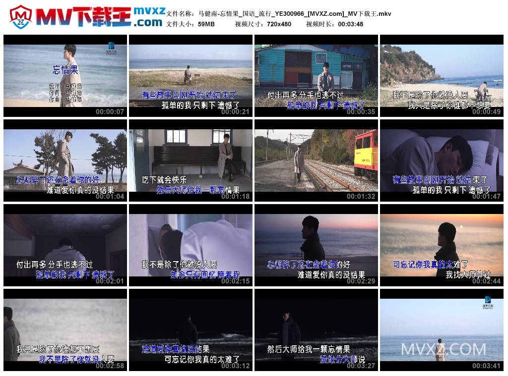 马健南-忘情果_国语_流行_YE300966